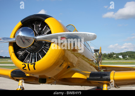 Yellow 217 vintage aircraft airplane Stock Photo