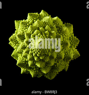 Roman broccoli isolated on black background; Stock Photo