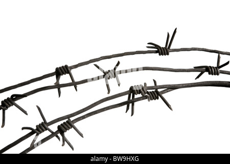 Close-up of piece of barbwire with prickles over white background Stock Photo