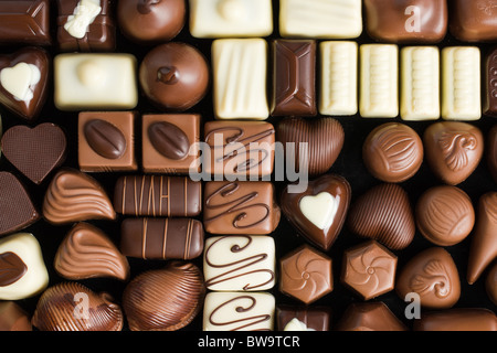various chocolate pralines Stock Photo