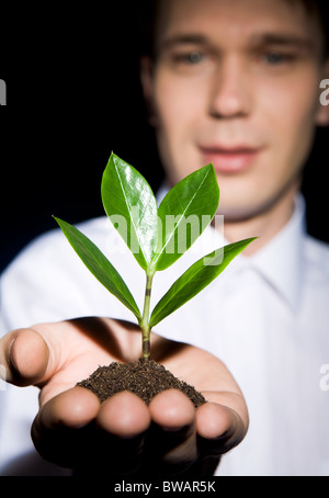 Vertical image of green sprout in pile of soil held by male’s hand Stock Photo