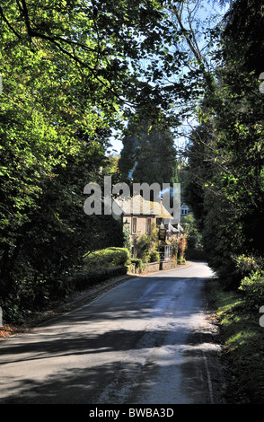 The Mill Inn at Withington, Gloucestershire, UK Stock Photo