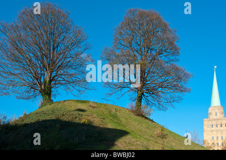 Two trees growing on Oxford Castle Mound with Nuffield College Spire in background, Oxford, England, UK