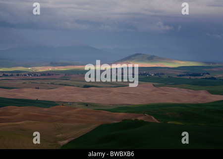 View from Steptoe Butte, Washington State USA Stock Photo