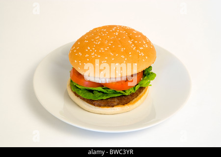 Food, Cooked, Hamburger, Single quarter pound burger with onion tomato and lettuce in a bun on a plate on a white background.