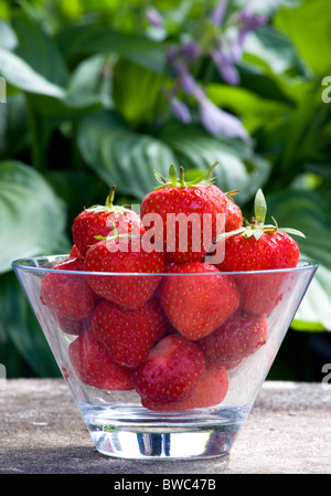 Food, Fruit, Strawberry, Glass bowl with ripe summer strawberries on a stone bench in a garden. Stock Photo