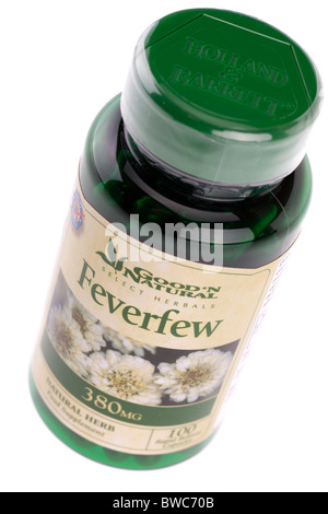 100 380mg feverfew natural herb food supplement rapid release capsules from Good n Natural Stock Photo
