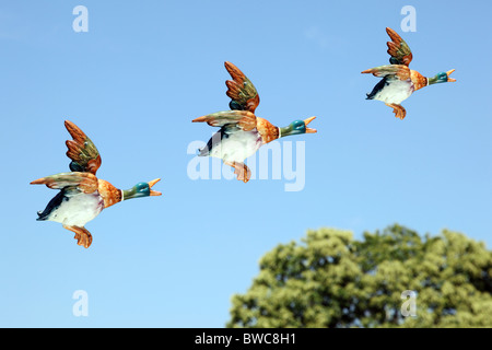Ceramic Ducks flying over a blue sky and a treetop Stock Photo