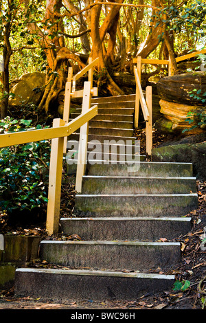 Sunlight illuminates a staircase on a headland walk Stock Photo
