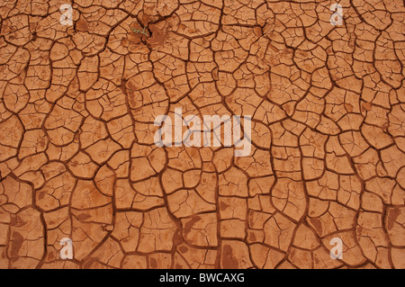 Cracked red earth in the Australian desert Stock Photo