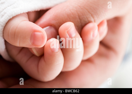Close-up of baby’s hand holding mother’s thumb Stock Photo