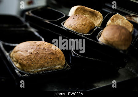 Traditional bakery  rustic granary loaves in tin Stock Photo