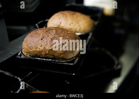 Traditional bakery  rustic granary loaves in tin Stock Photo