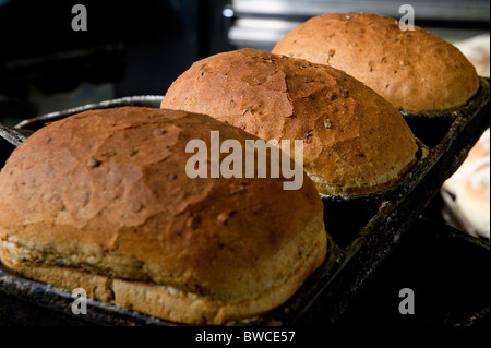 Traditional bakery  rustic granary loaves in tin Stock Photo