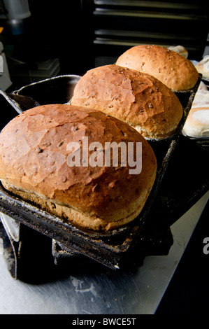 Traditional bakery  rustic granary loaves in tin Stock Photo