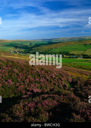 A late summer landscape view of Rookhope village in Weardale, County Durham Stock Photo