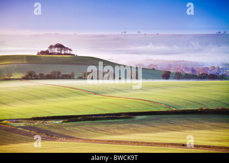Misty autumn sunrise from Knapp Hill towards Woodborough Hill and the Vale of Pewsey in Wiltshire, England, UK Stock Photo