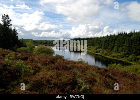 Lake at Lough Navar Forest in County Fermanagh Stock Photo