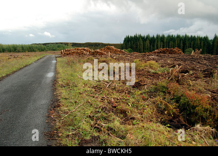 Road through the Lough Navar Forest in County Fermanagh, Northern Ireland Stock Photo