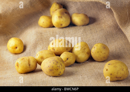 Potatoes Stock Photo