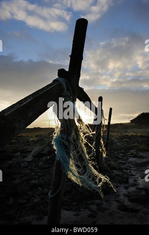 backlight on frayed rope tied to wooden mooring posts, Ross Bay, Kirkcudbright, Galloway, Scotland Stock Photo