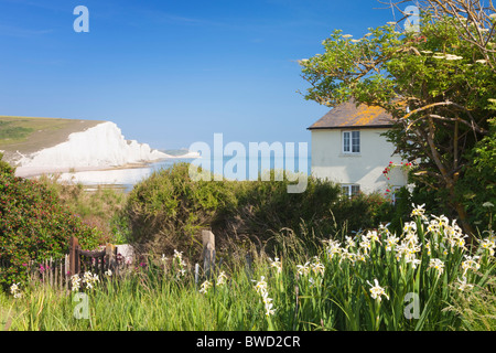 Coast Guard cottages Seven Sisters; East Sussex; England, Great Britain Stock Photo