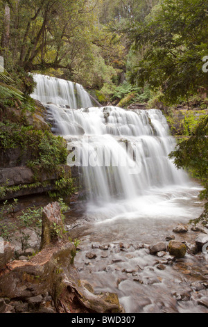 Delightful Liffey Falls in the heart of lush forests in Northern Tasmania Stock Photo