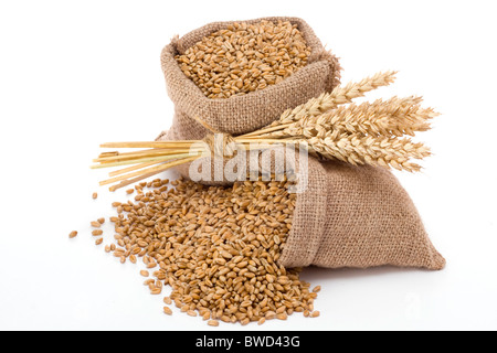 Wheat in small burlap sack Stock Photo