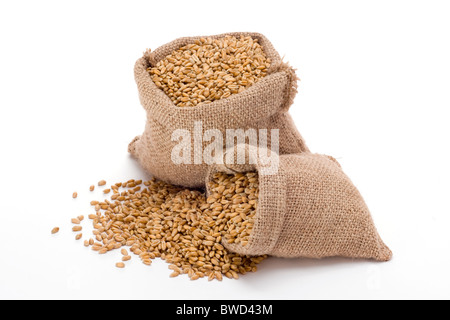 Wheat in small burlap sacks Stock Photo