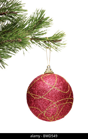 Red ball hanging on a green christmas tree branch Stock Photo