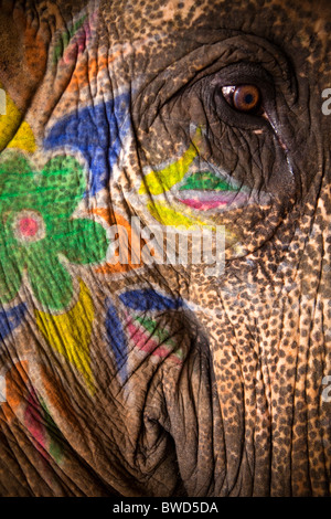 Painted elephant from the Amber Fort in their small and reportedly cruel accommodation away from the tourists. Stock Photo