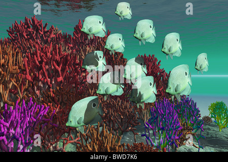 Coral Reef - A school of butterfly fish swim over colorful coral. Stock Photo