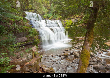 Liffey Falls in the heart of lush rainforests near Deloraine, Tasmania Stock Photo