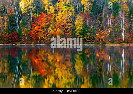 Morning fog rises from Moccasin Lake with autumn reflection in Michigan's Upper Peninsula. Stock Photo