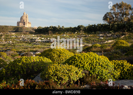 The imposing bulk of St John the Baptist church in Xewkija dominates the skyscape from miles around in Gozo in Malta. Stock Photo