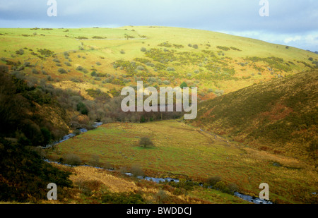 West Okement River valley, Dartmoor National Park, Devon, England Stock Photo