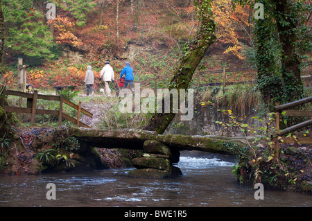 A family on an autumn walk,  pass the ancient  ' lady vale '  clapper bridge in cardinham woods near bodmin in cornwall, uk Stock Photo