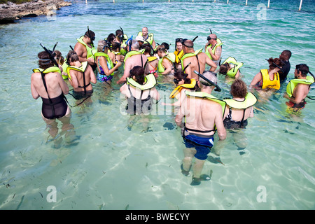 Sting Ray feeding with cruise ship tourist on 'Half Moon Cay' in the Caribbean Sea; Bahamas Stock Photo