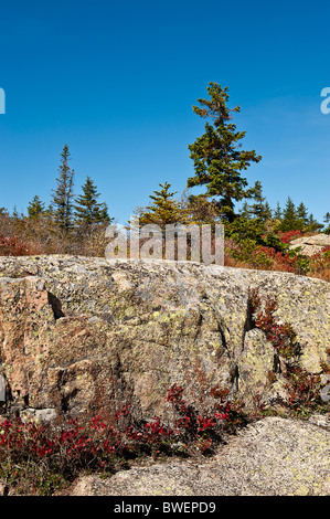 Acadia landscape, Acadia NP, Maine, USA Stock Photo