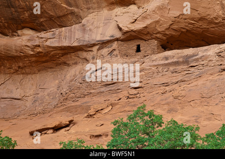 THE LONG HOUSE, about 1500 year old ruin of Native American Indians, Mystery Valley, Arizona, USA Stock Photo