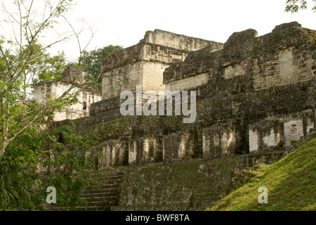 North Acropolis at the Maya ruins of Tikal, El Peten, Guatemala. Tikal is a UNESCO World Heritage Site. Stock Photo