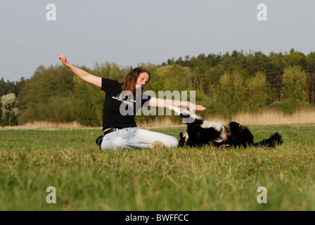 Border Collie shows dog dance Stock Photo