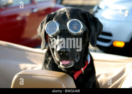 Herbie Fully Loaded Launch Ceremony Stock Photo