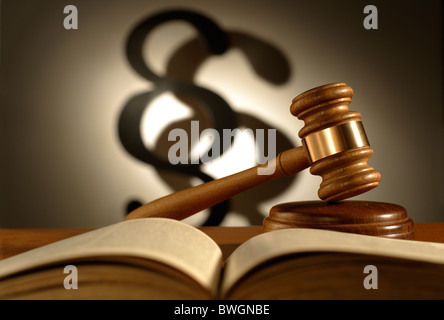 Gavel and a section symbol Stock Photo