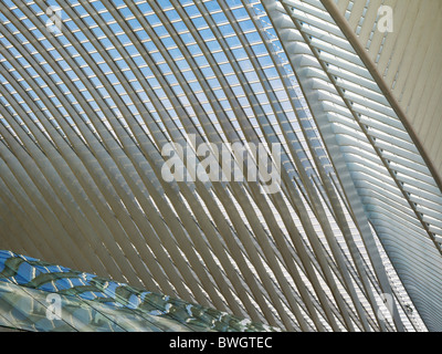 Architectural roof detail of the station in Liège-Guillemin, Belgium, Europe Stock Photo