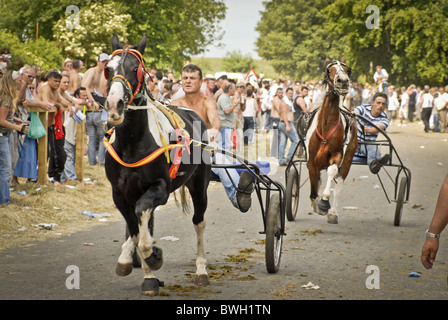 Two men rave horse and traps. Stock Photo