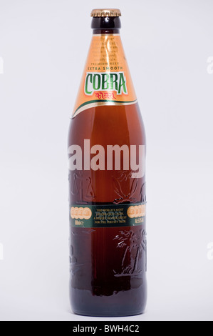 A bottle of Cobra lager beer on a white background Stock Photo