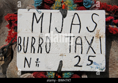 Sign on donkey's head, Burro taxi (donkey rides), Mijas, Costa del Sol, Malaga Province, Andalucia, Spain, Western Europe. Stock Photo
