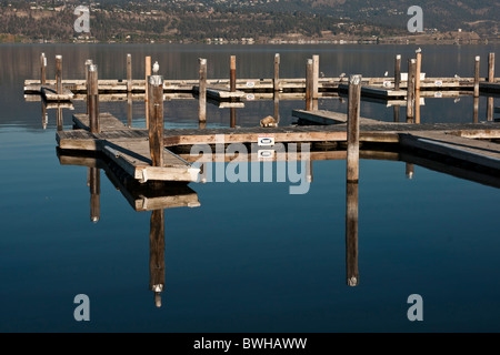 marina harbourfront Penticton British Columbia Stock Photo