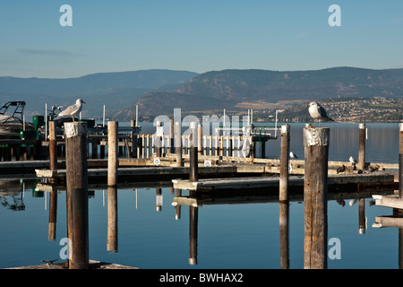 marina harbourfront Penticton British Columbia Stock Photo